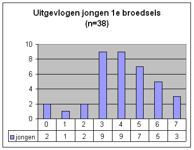 Uitgevlogen 1e broedsels  © A.M. Liosi